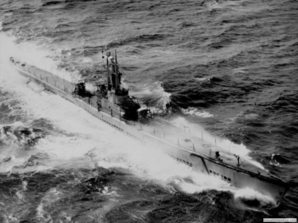 USS Hackleback (SS-295)